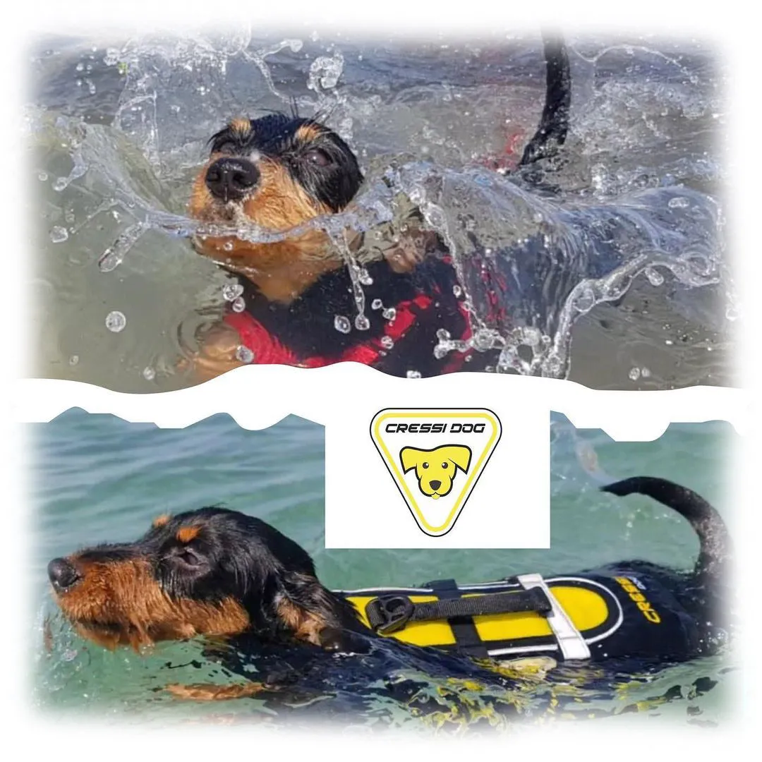 Cressi Premium Dog Life Jacket