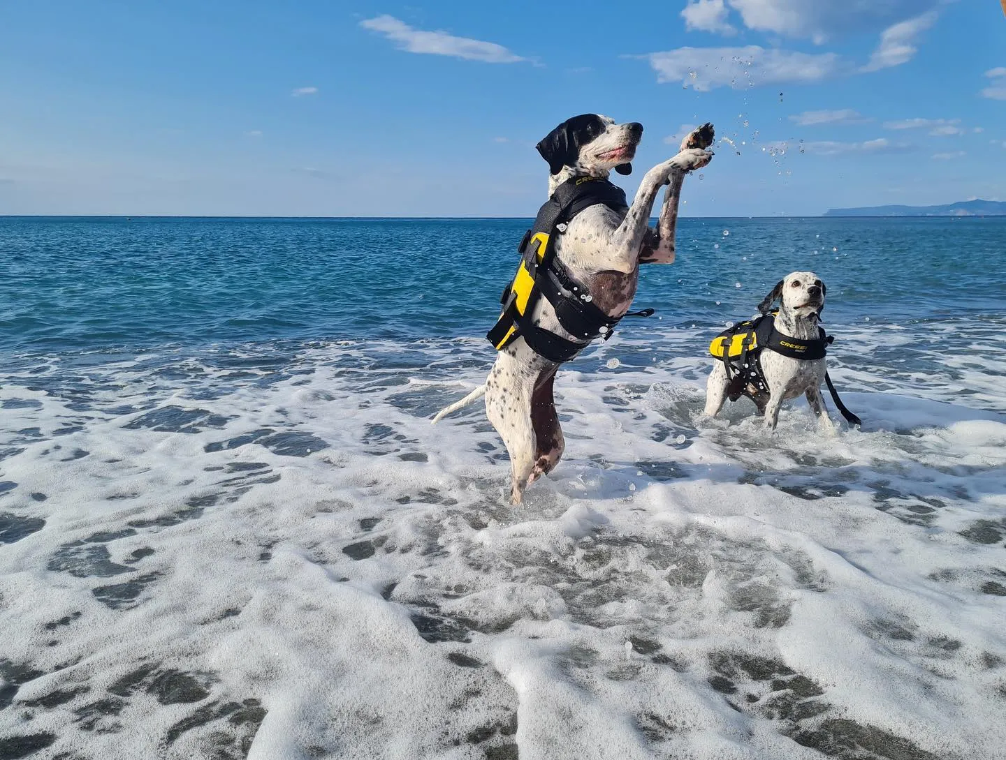 Cressi Premium Dog Life Jacket