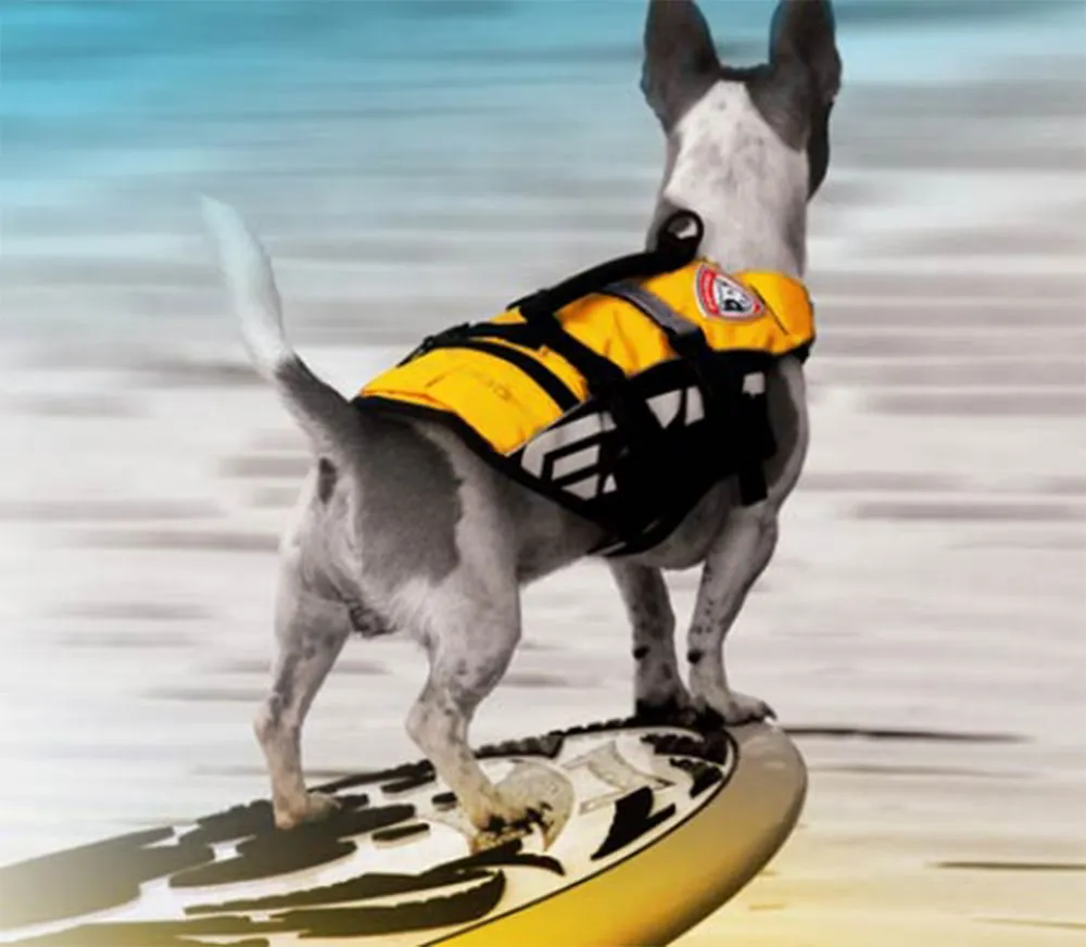 Cressi Premium Dog Life Jacket