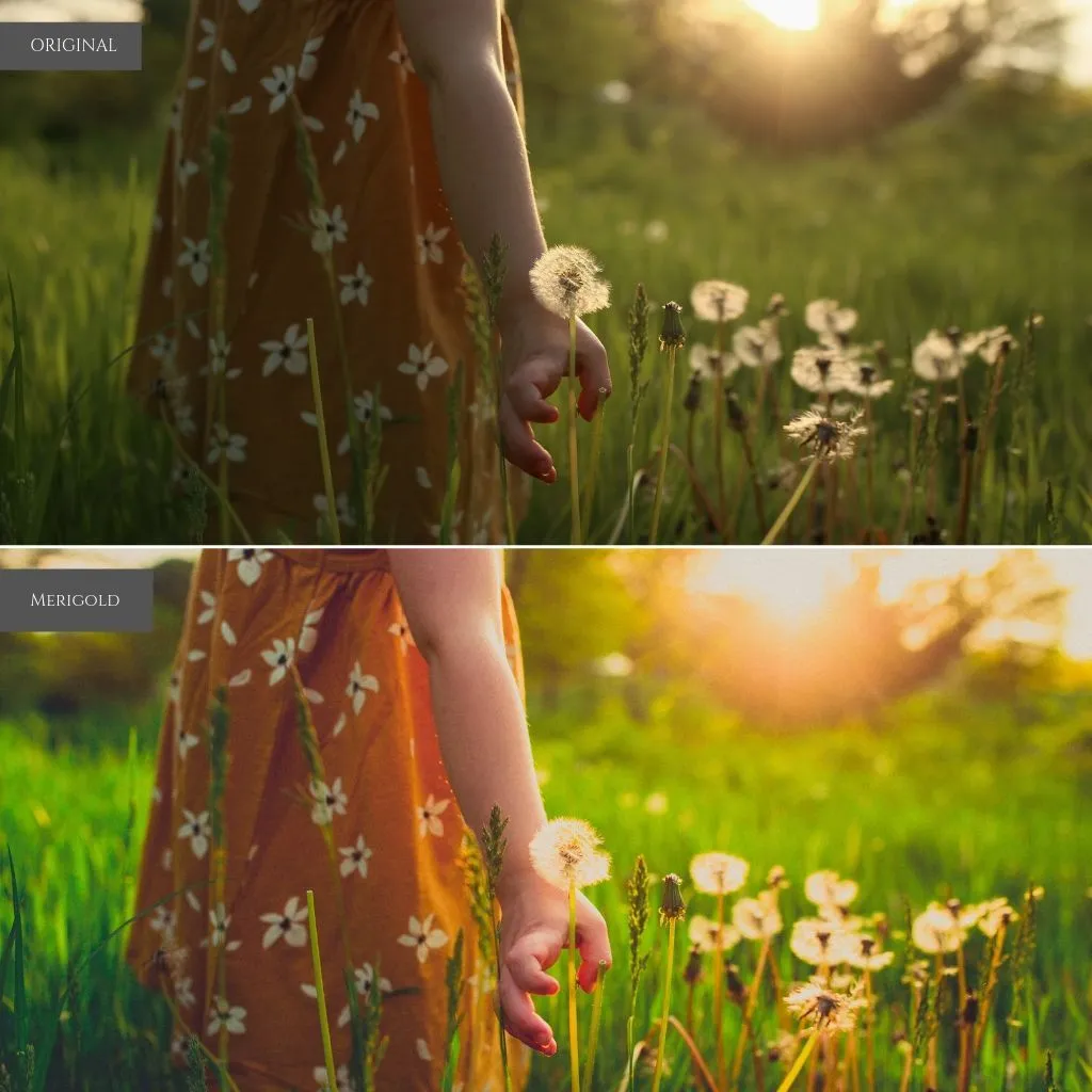 Enchanted Gardens Lightroom Presets – Desktop & Mobile