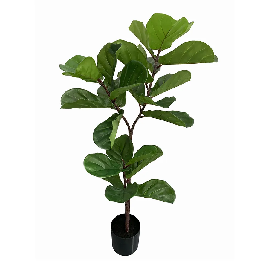 Fiddle Leaf Potted Plant