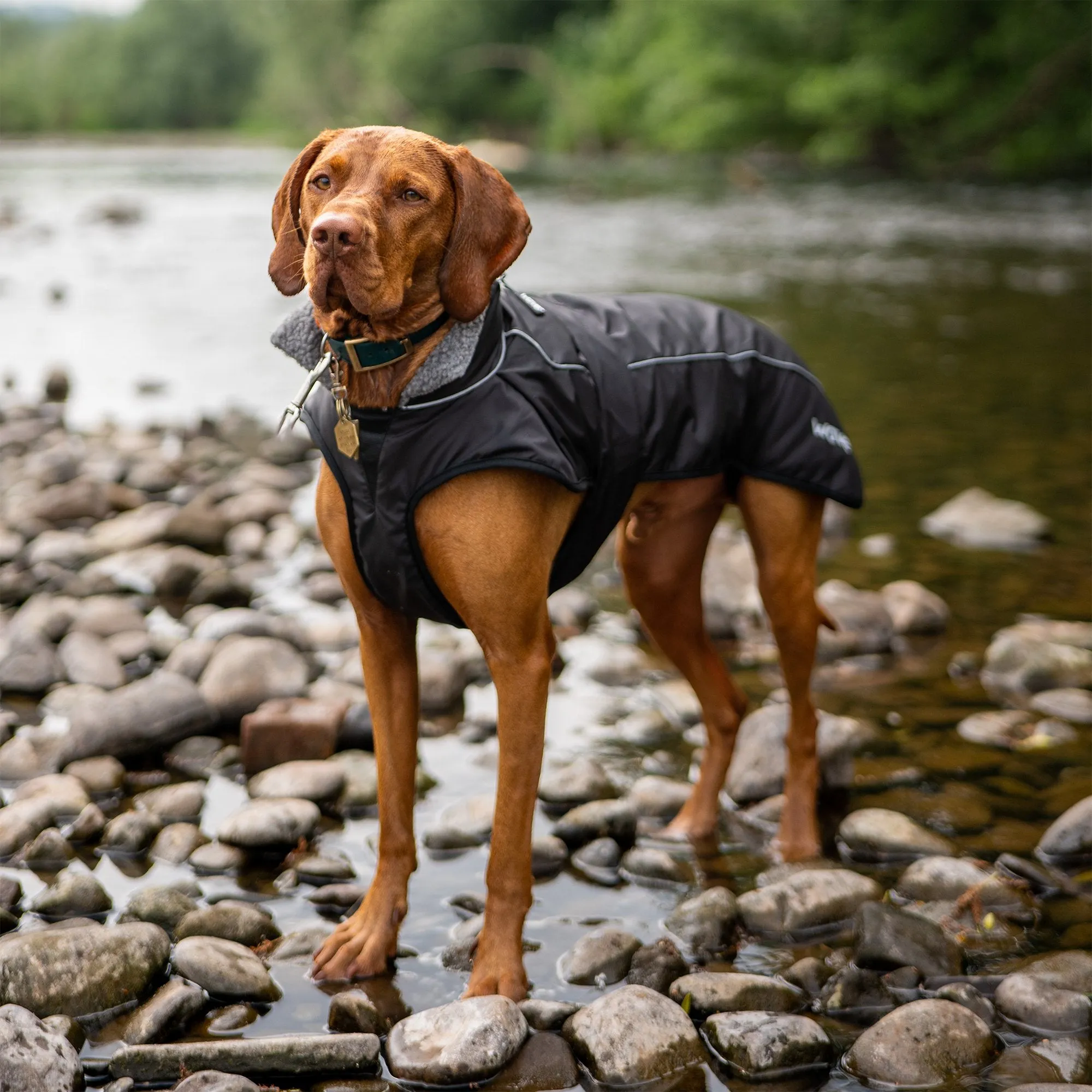 Fleece-Lined Dog Robe