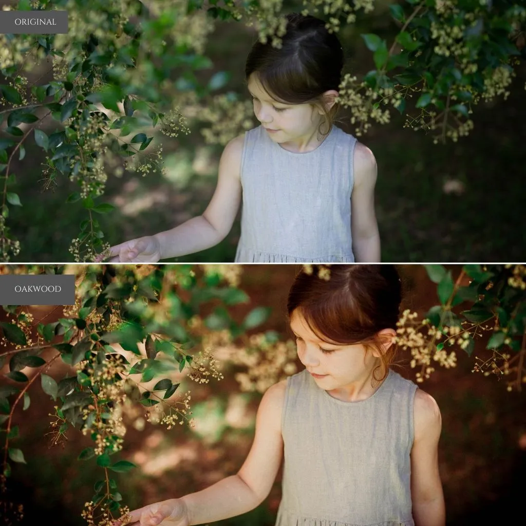 Oak & Ivy Lightroom Presets – Desktop & Mobile