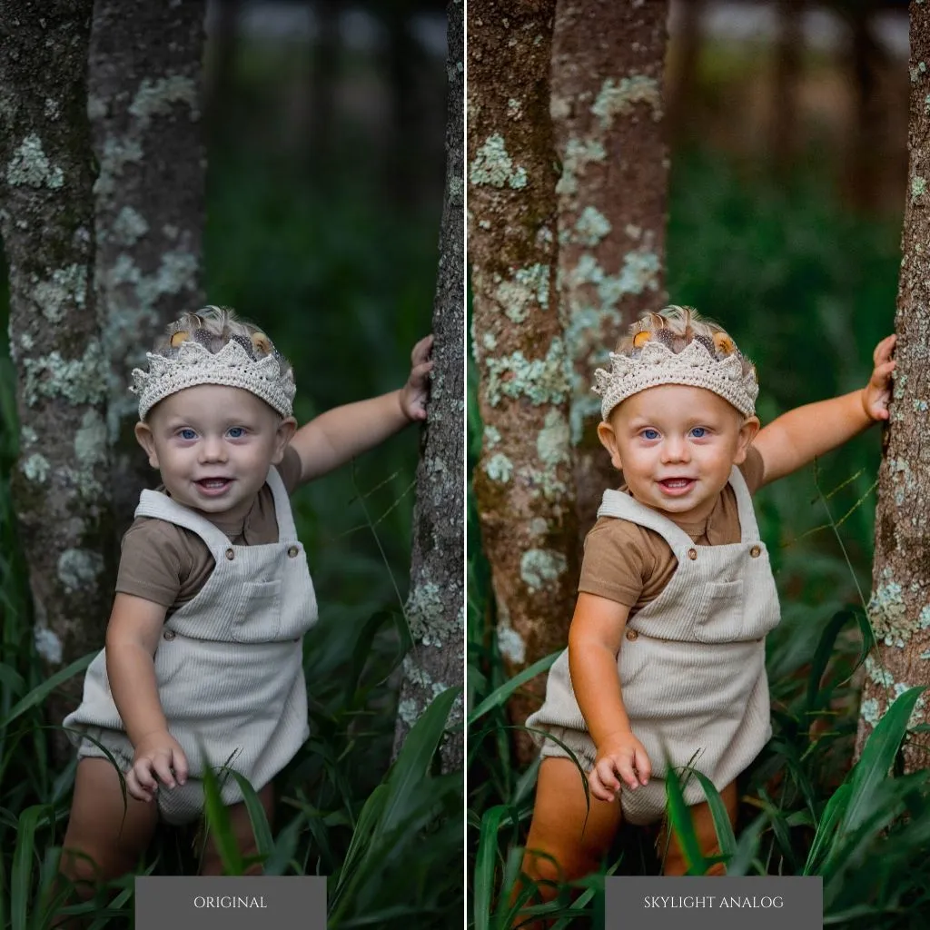 Oak & Ivy Lightroom Presets – Desktop & Mobile