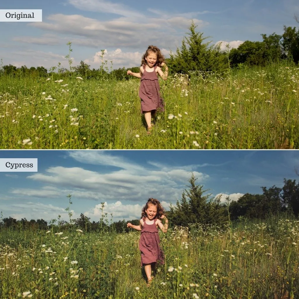 Oak & Ivy Lightroom Presets – Desktop & Mobile